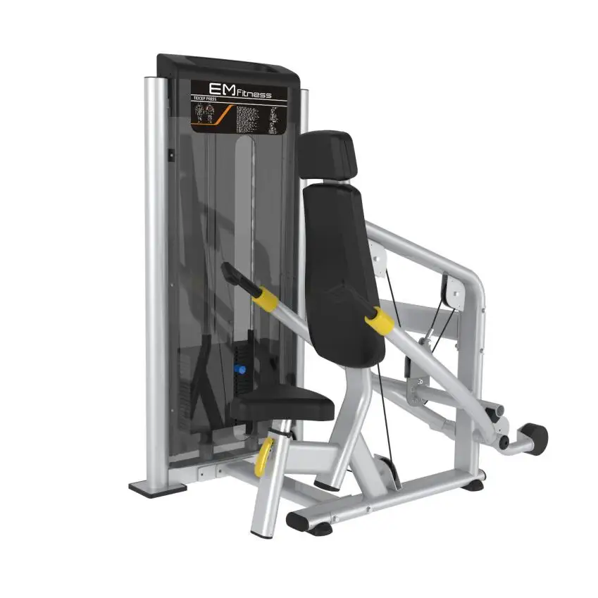 Indoor Multi Gym Equipments Exercises Gym Bicep Triceps Machine