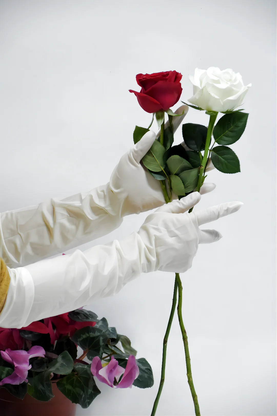 High Quality Professional long Sleeve Latex Gynecological glove