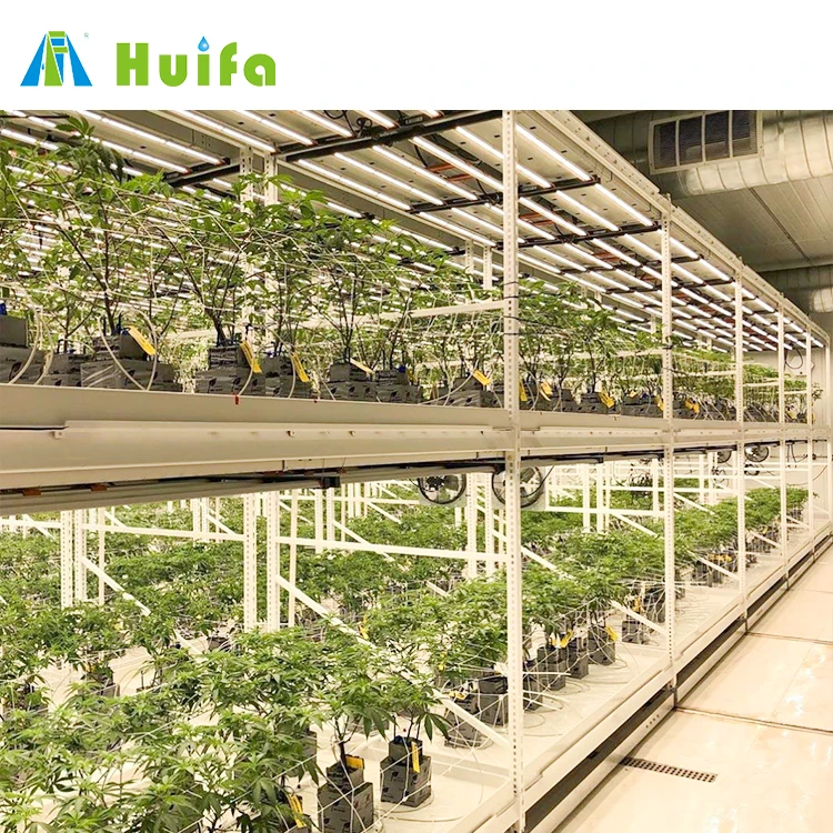 Vertical Farming Racks Equipment Hydroponics Plant Growing Table For Medical Hemp Planting