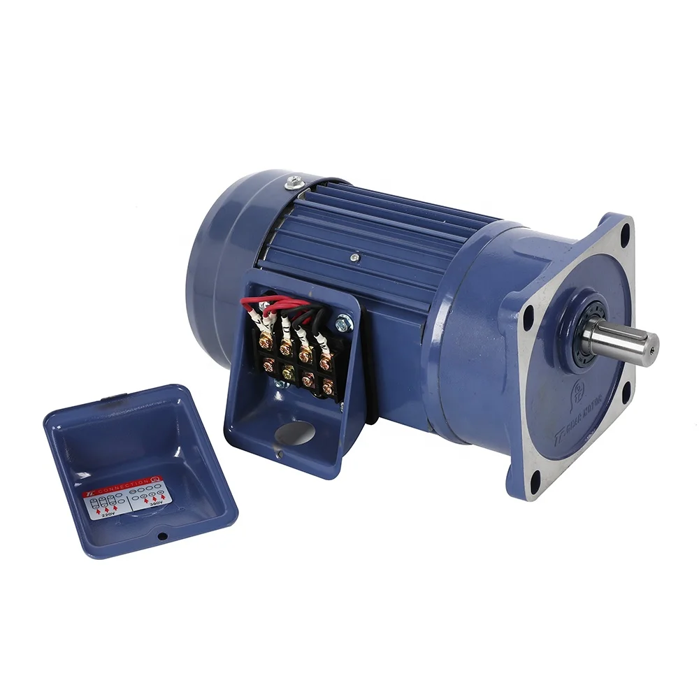 Single Phase 110V/220V 3KW AC Induction Gear Motor With Speed Control Function