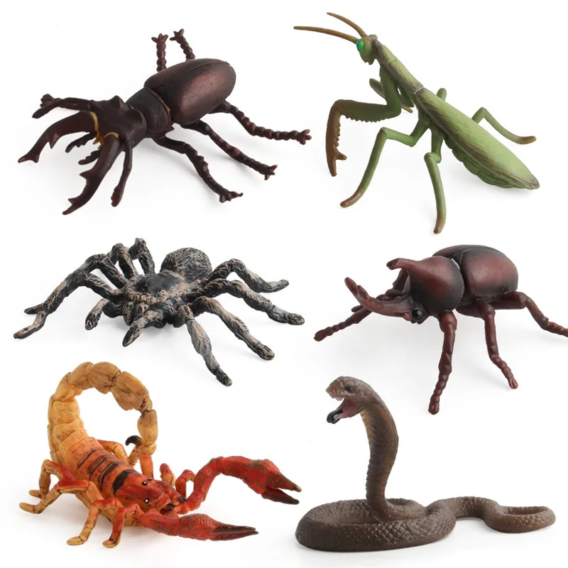 Discount Animated Insect Model Simulation Insect Animal Model Insect Pack Toy Model