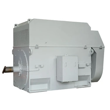 
Y Series YR Series IP44 IP54 IP55 Big AC Motor 
