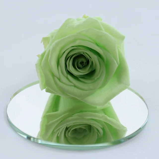 wholesale 8 pcs/box everlasting rose real touch dried flower preserved roses head 4-5 cm grade b