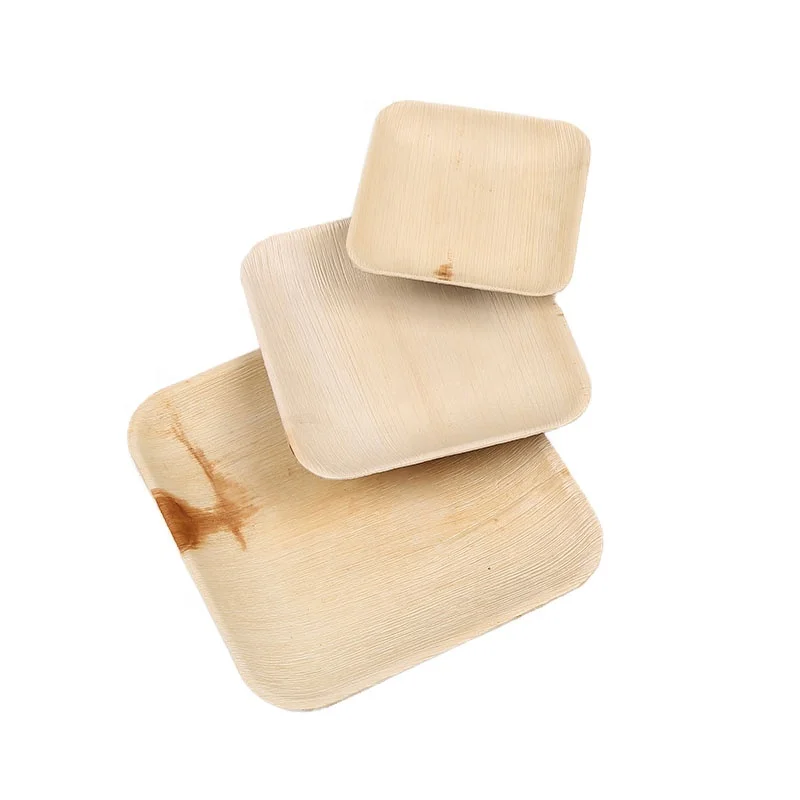 8 inch 100% Natural Biodegradable Areca Palm Leaf Plates for Food  palm leaf plates disposable