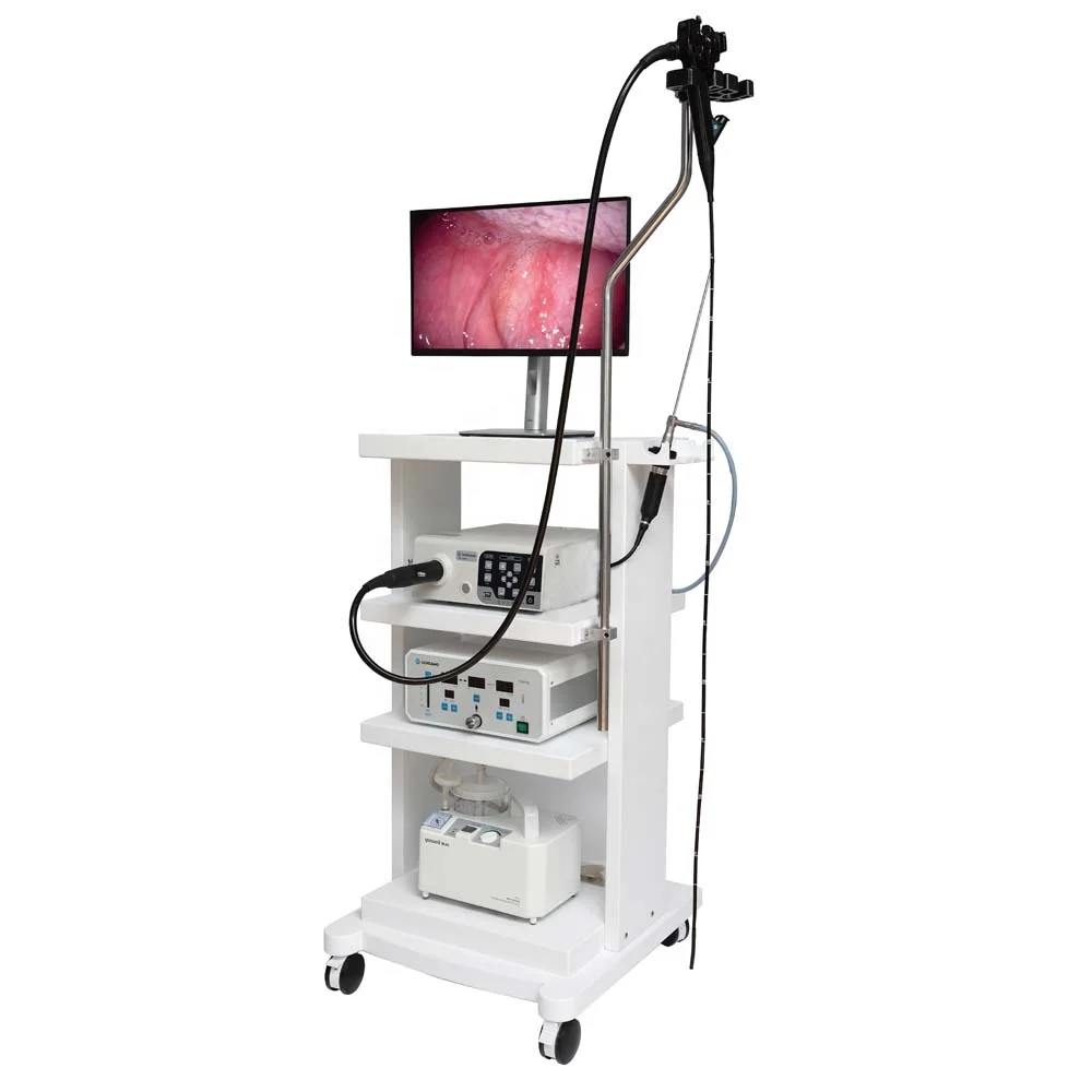 Pet Clinic Animal Medical Video Gastrointestinal Endoscopy Endoscope System Veterinary Endoscope Camera