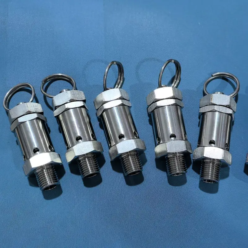 Air Regulator Spray Gun Smc Gas Digital Natural Denso Fuel Lpg Cooking1/4 Air oxygen safety valve safety relief valves  304
