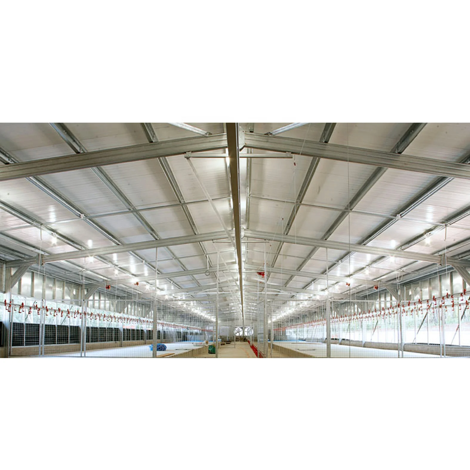 
 Конструкция из стали, бройлерная птицеферма  