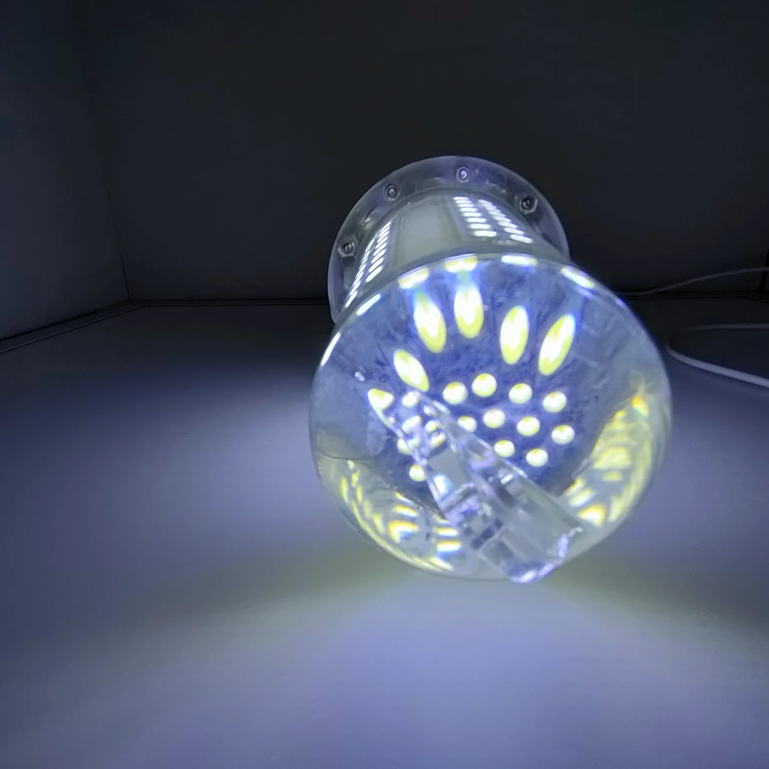 Charging model infrared remote control fish lamp