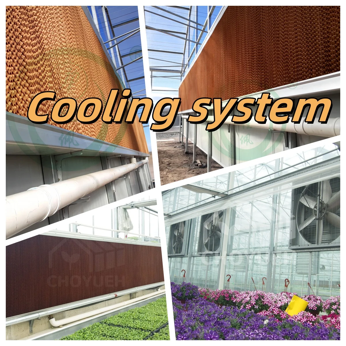 Jiapei potato Green House Large Hydroponics Multi-span Film Sheet Greenhouse with Tomato Growing System Large Large Solar Fans