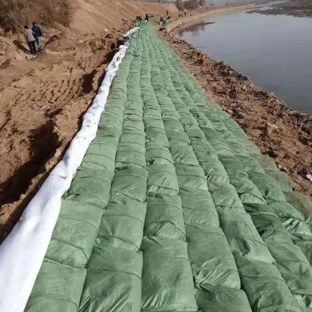 Eco-friendly Sand Beach Geobag Waterproof Geotextile Geo Bag River Bank Slope Protection Mine Restoration Greening Barren Hills