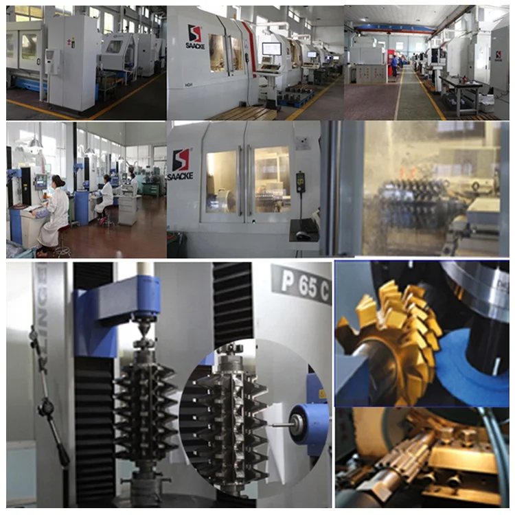 High precision Customized HSS and PM HSS Involute Gear Hob cutter