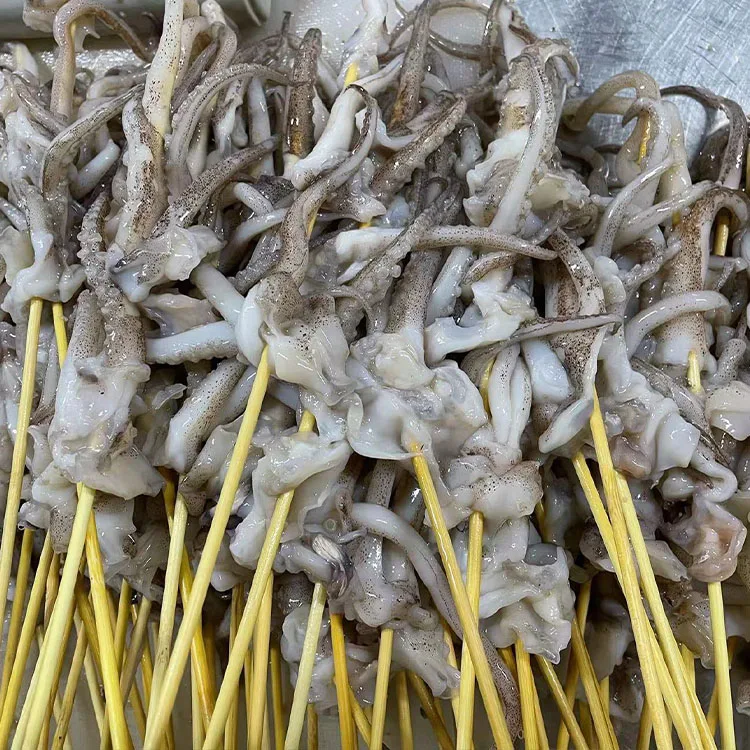 frozen squid skewers 3