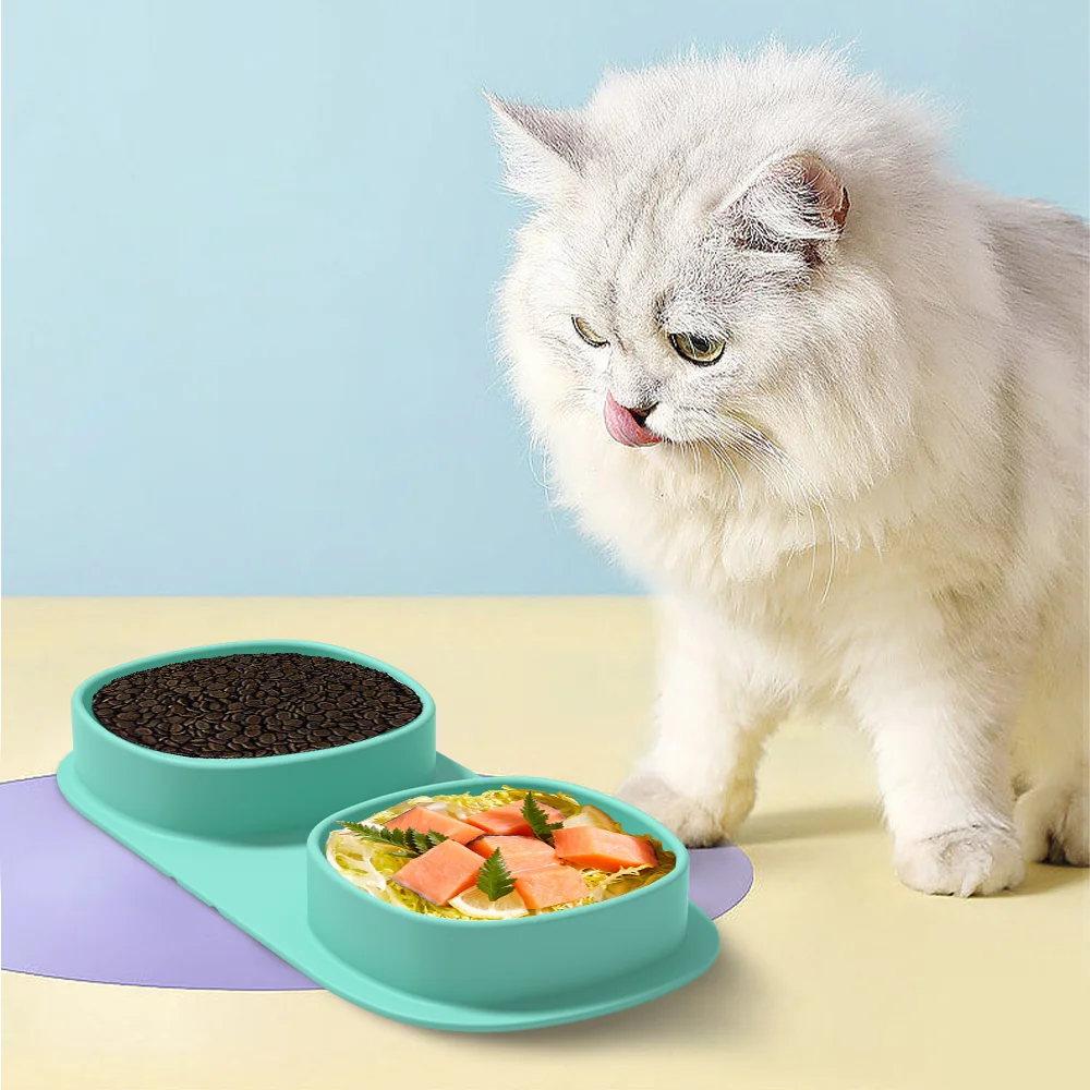 2024 Portable Dog Water and Food Feeder Outdoor Travel Feeding Bowl Plate Feeder Utensils Pet Accessories Supplies Box for Dogs