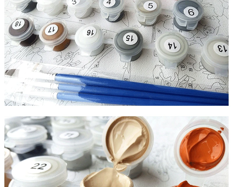 DIY Paint by Numbers With Frame Adult And Kids Oil Painting By Numbers Framed Big 40x50cm Home Wall Decor