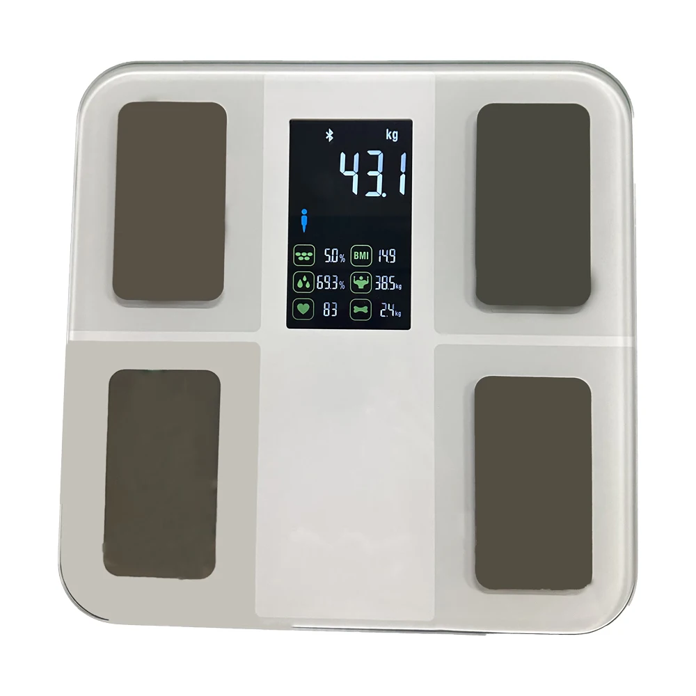 BL-8048V Colorful screen VA big  display electronic digital body fat measuring scale digital  with 4 Electrodes