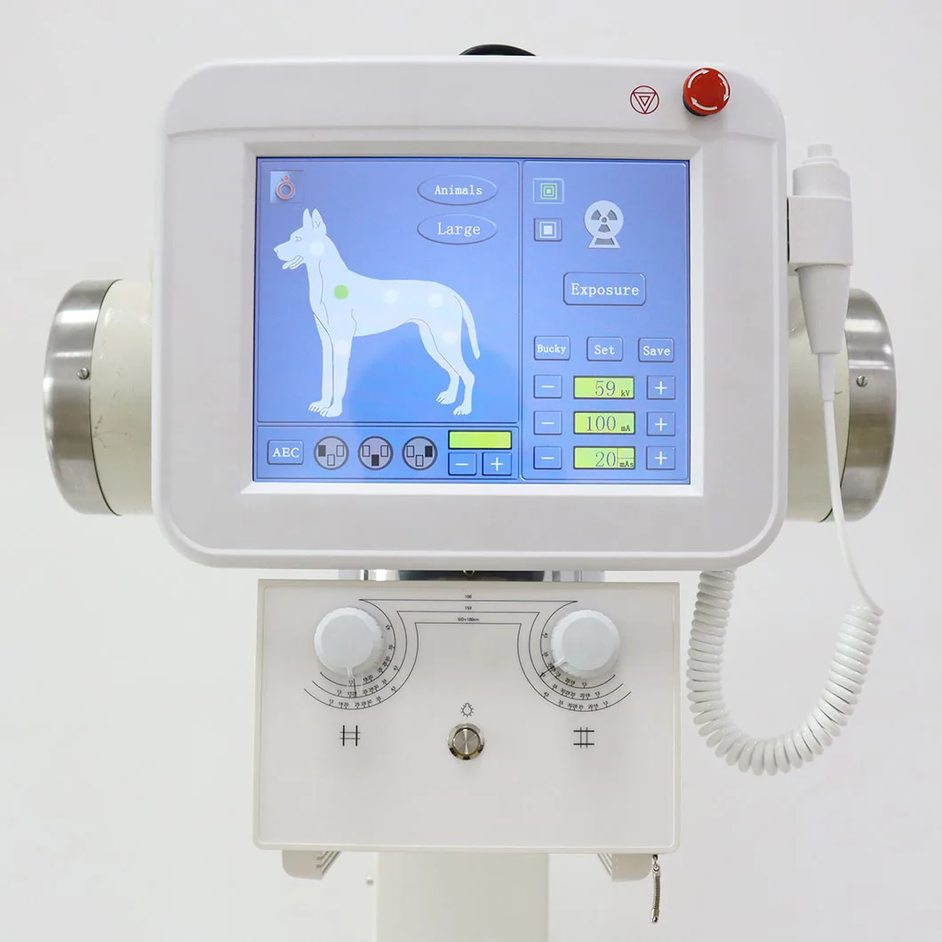 High Frequency 32kW Digital Veterinary X ray Machine Radiography Pet Xray Vet X-ray Price For Animal