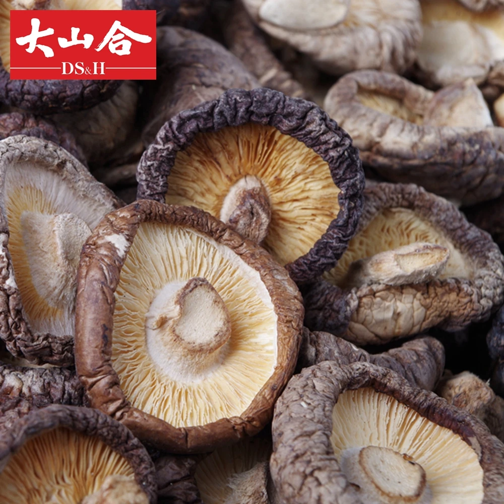 Wholesale dried shiitake dehydrated mushroom price