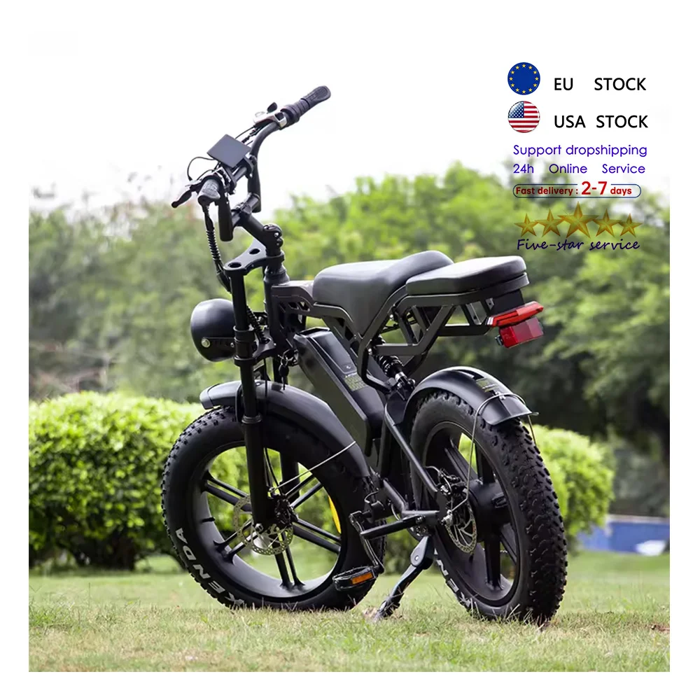 V20 Pro Fatbike Rear Seat Electric Bike Velo Electrique EU Bike Electric X80 E-bike 250W Ebike