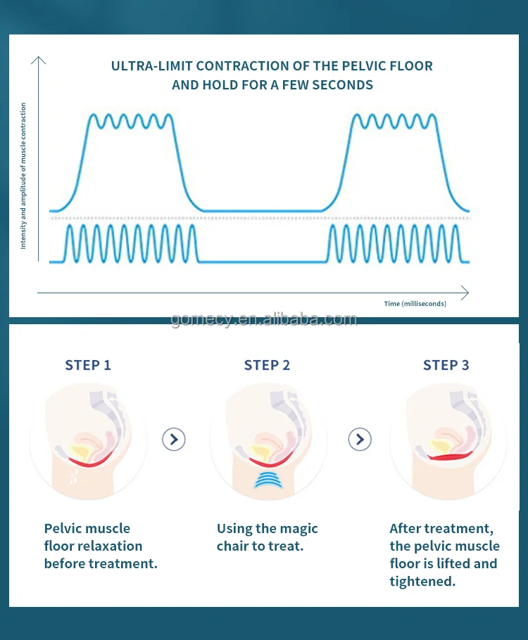 pelvic-floor-muscle-training.png