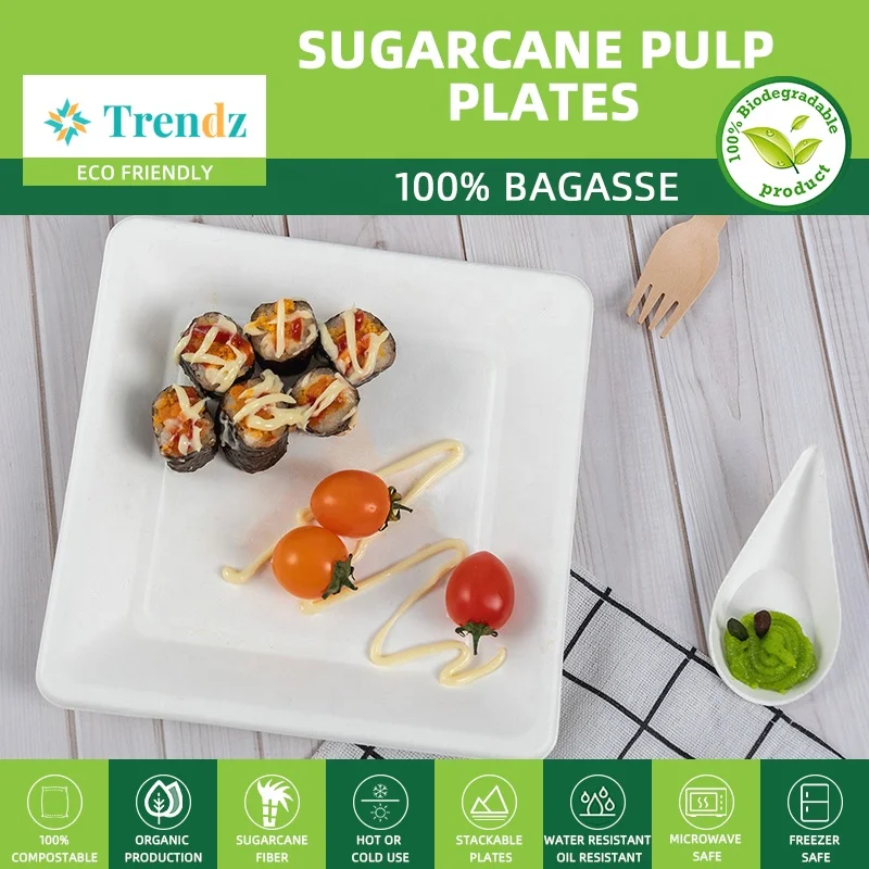 Wholesale Custom Logo Disposable Biodegradable Sugracane Bagasse fiber square diner plate cheap charger plates