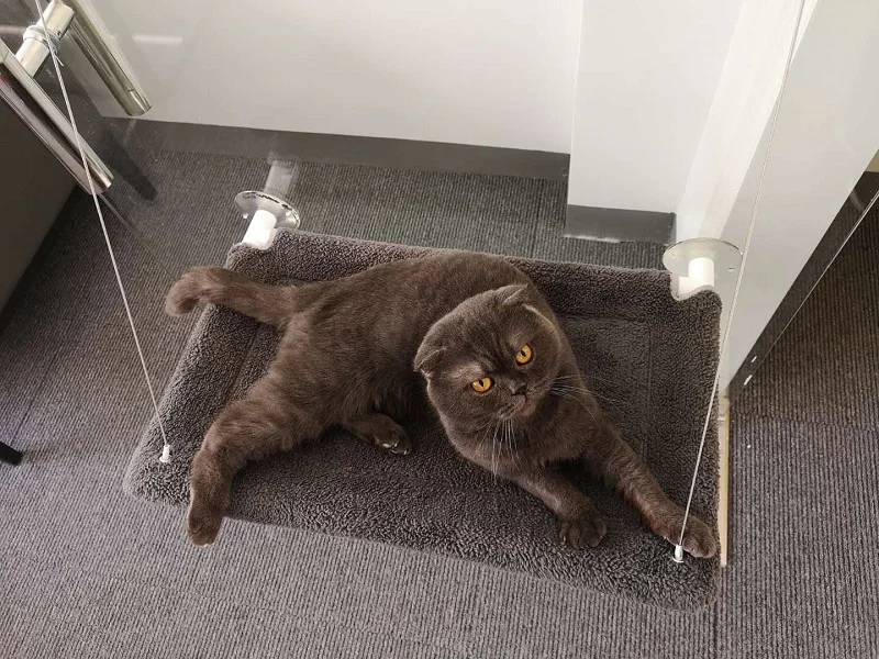 
Mounted Cat Window Bed with Heavy Duty Suction Cups & Steel Wires 