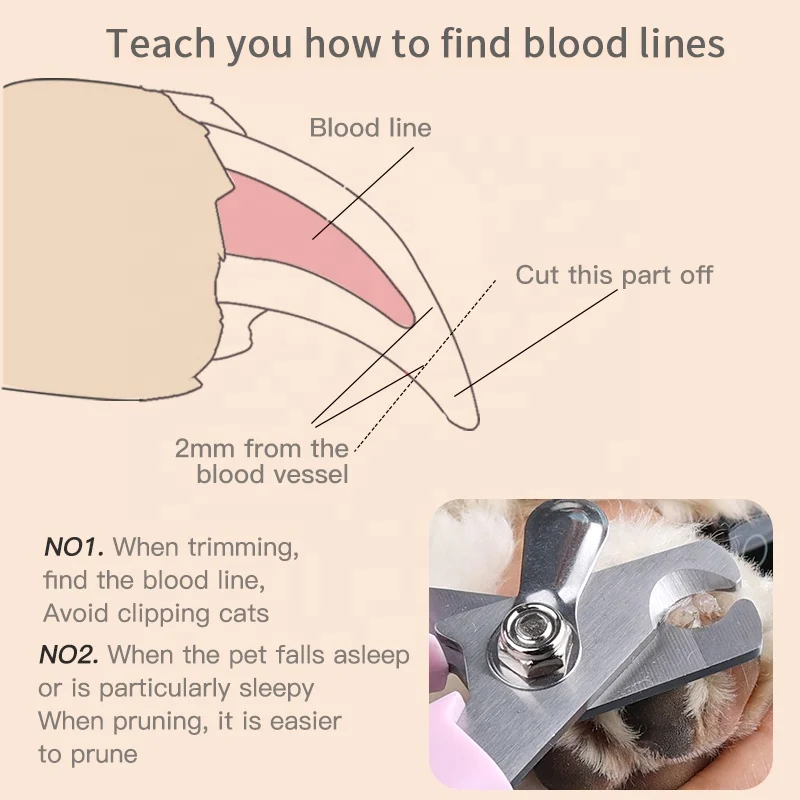Factory Wholesale Color Box Packaging Pet Nail scissors Dog Nail Cutter Cat Dog Nail Clipper