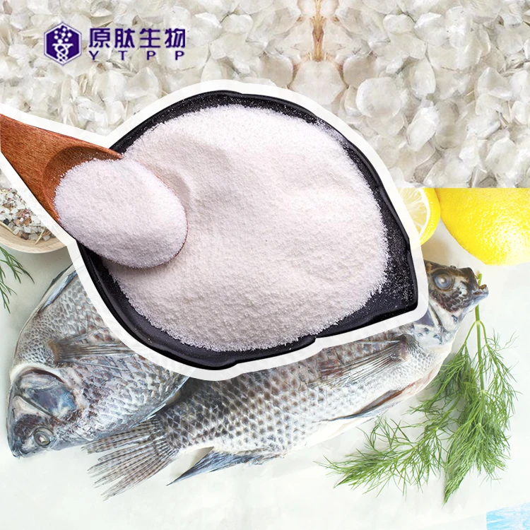 Factory sale hydrolyzed collagen protein from tiapia scale skin whitening collagen peptide halal food supplements