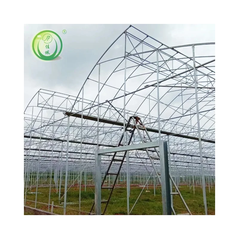 Jiapei best selling high quality Easy Assemble Agricultural Serrated Greenhouses  For  Plant Growing Cheap Plastic Ventilation