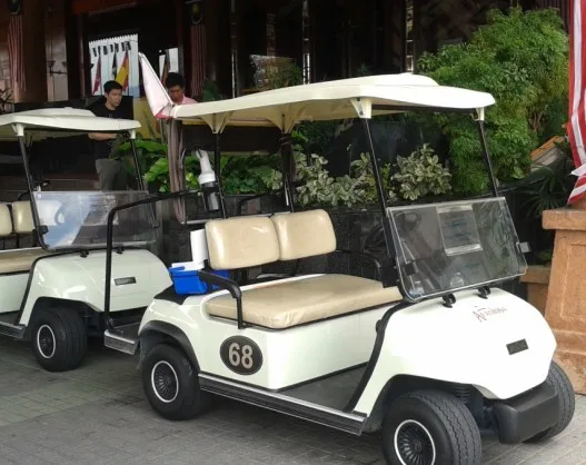 Electric 2 Seats Golf Cart 25km/h from Chinese Factory