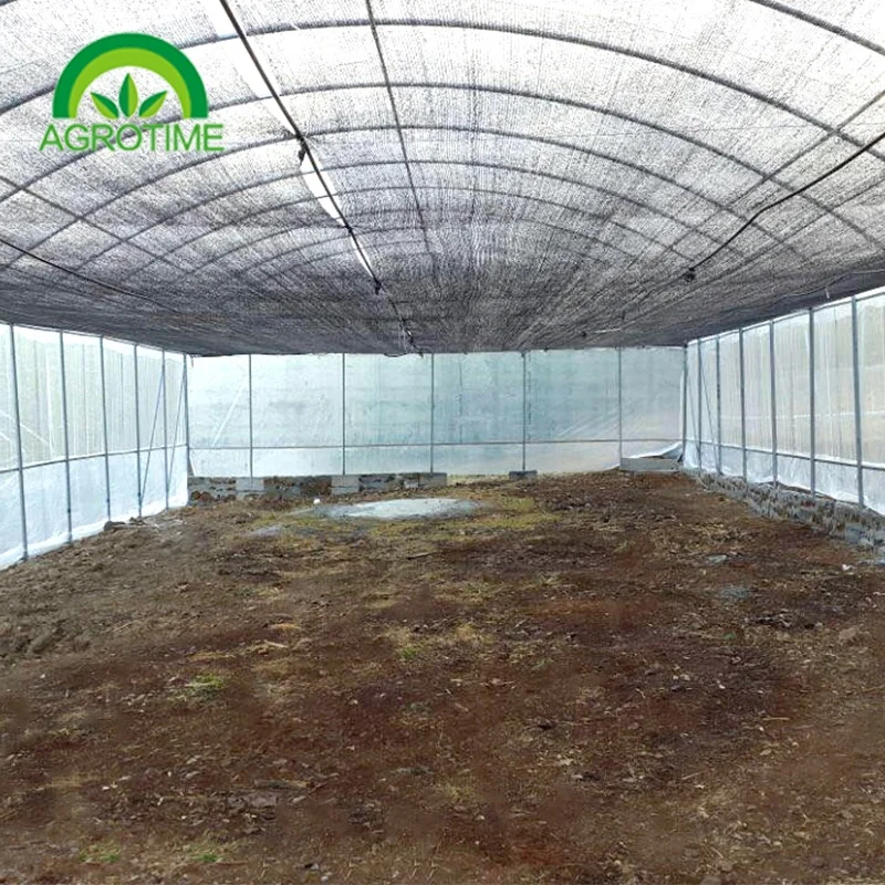 durable Chinese large poly film tunnel Galvanized Greenhouse greenhouse for sale