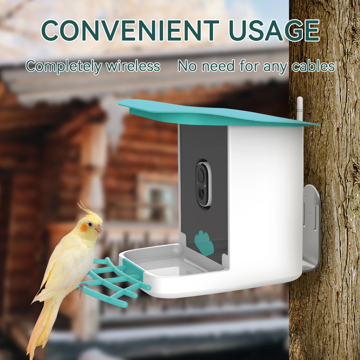 Outdoors hanging bird feeder smart bird feeder with camera wifi app