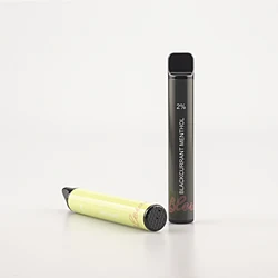 Custom Wape Vap System Descartavel Vaper Pod Puff 1600 Electric Disposable Vapes