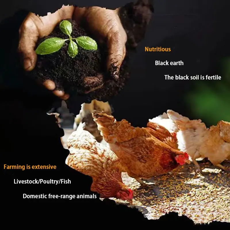 Wholesale animal feed corn price Healthy corn for animals 100% Natural Animal Feed Corn