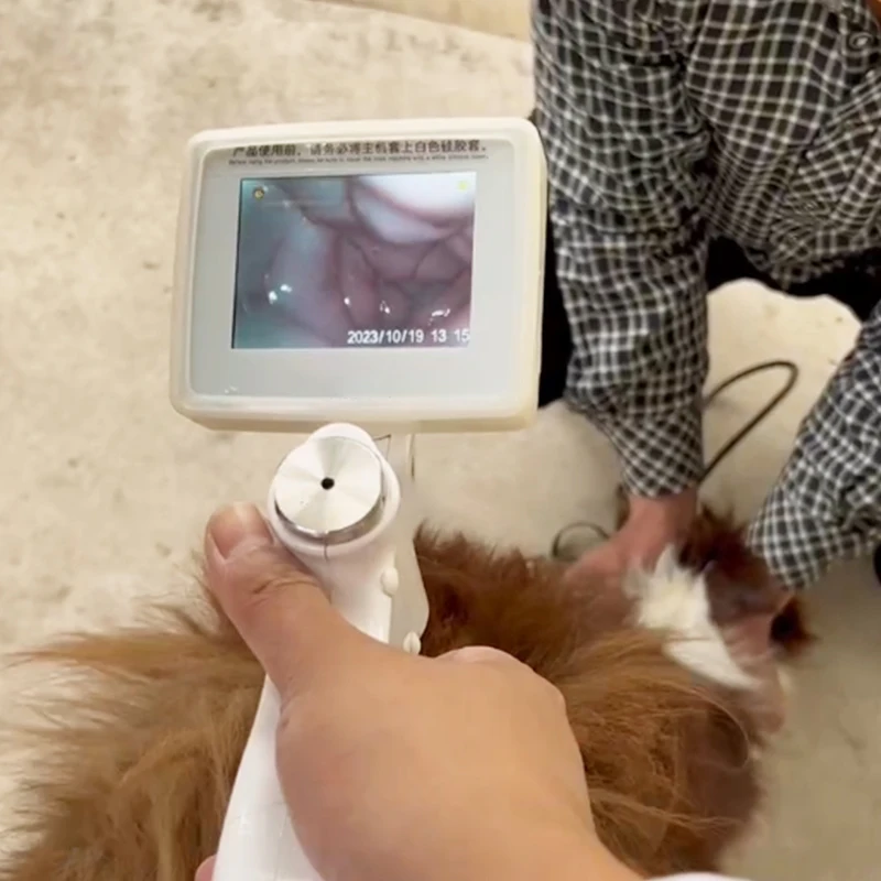 Chinese Factory Price 3.5inch Screen Canine Visual Insemination Gun Animal Artificial Insemination Gun