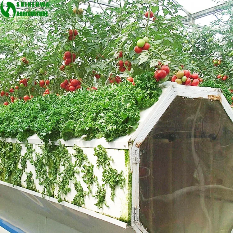 
High Quality Hot Selling Commercial Aeroponics Hydroponic system for greenhouse  (62539848442)