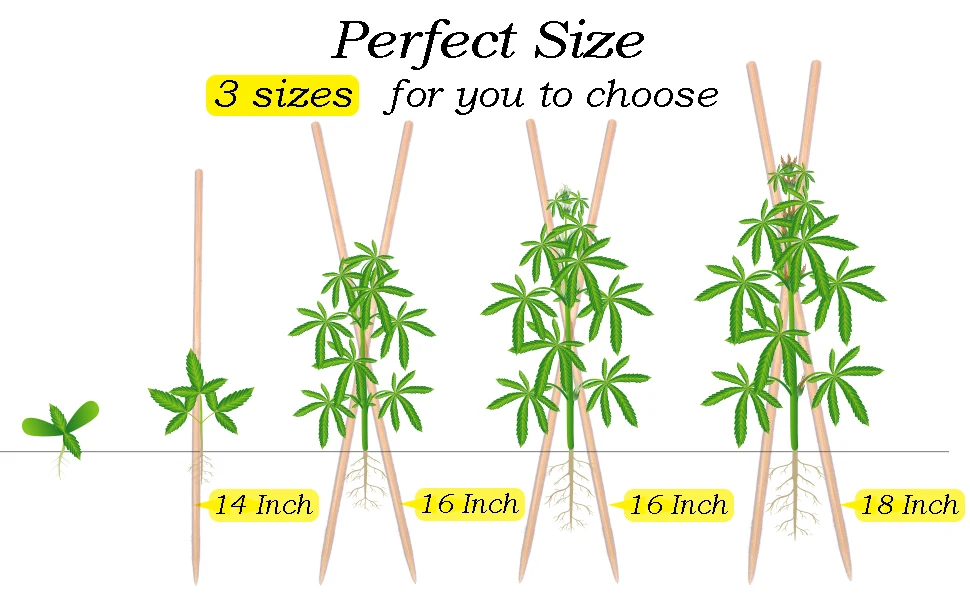 Noodles bamboo pole use jumping game