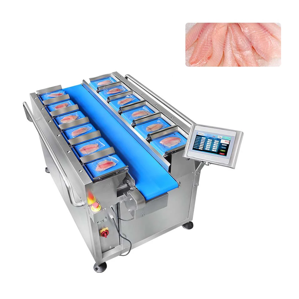 Semi-Automatic  Fresh Beef Pork Cuttlefish Dried Squid 12 Belt Mulithead Weigher