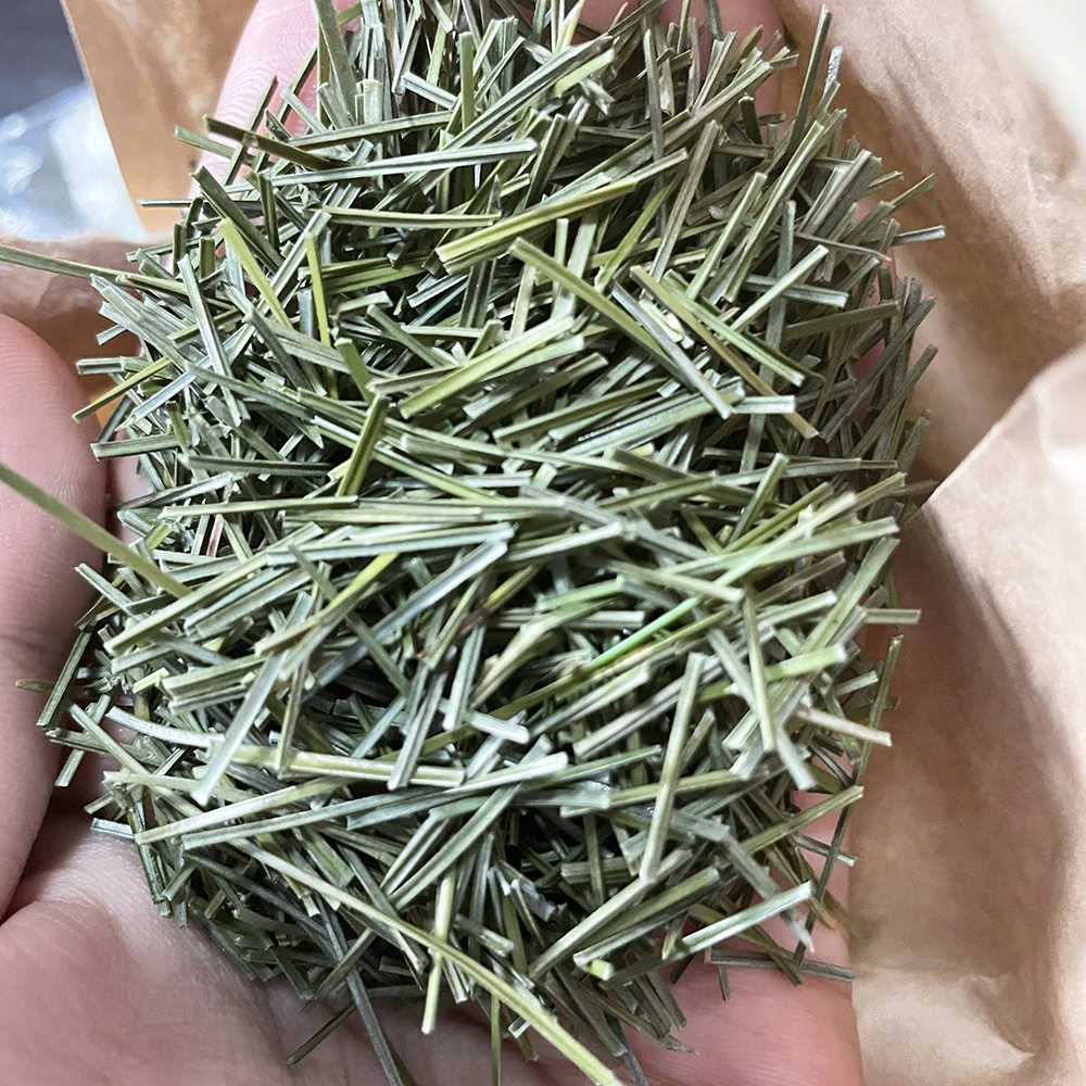 High Quality Herb Tea Flavor Tea 100% Natural Pine Needle Herbal Tea For Sub-health Status