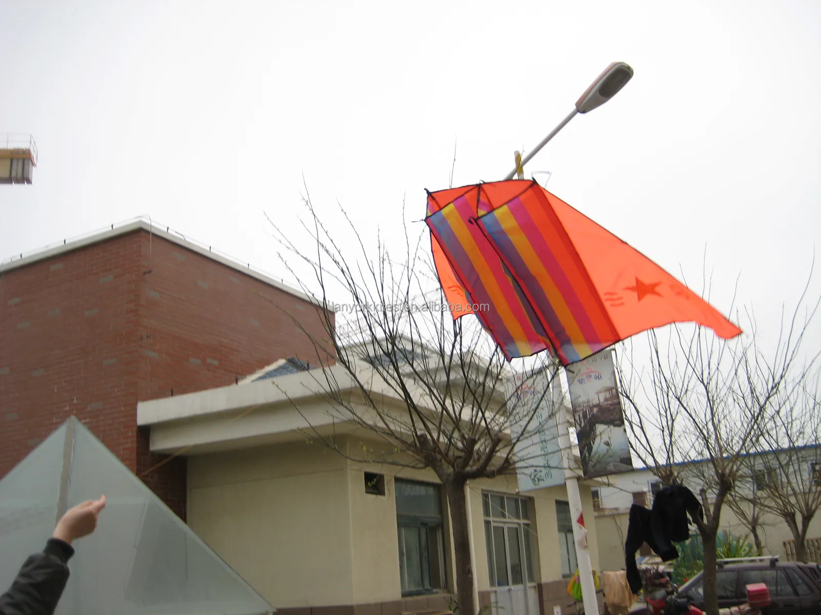 Factory Direct Big 3D Kite For Flying