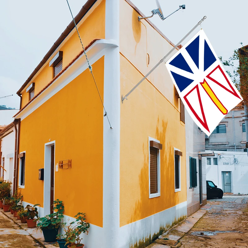 Оптовая продажа 3 Х5 футов флаги Ньюфаундленда и Лабрадора полиэстер настроить все страны Быстрая доставка надежный поставщик