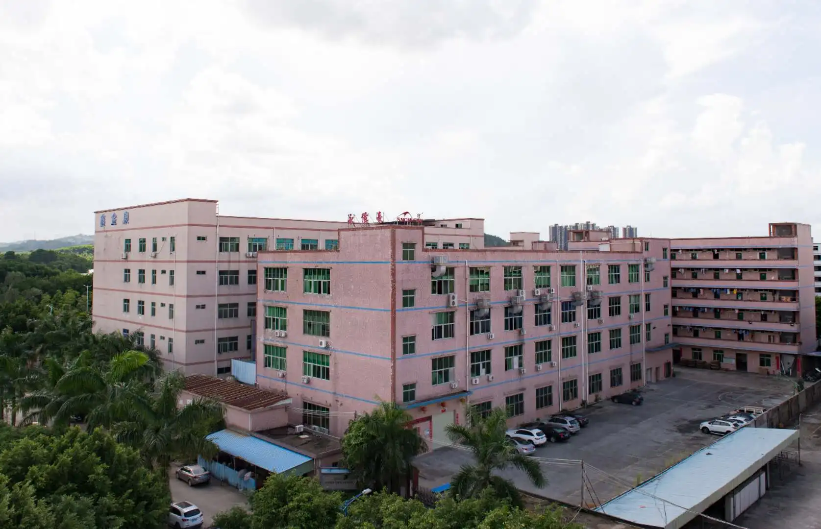 
12v dc motor specifications 60X60X25mm powerful high cfm large air flow brushless industrial DC axial cooling fan 