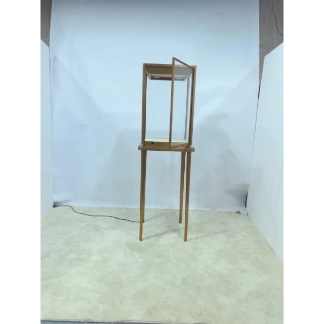Customized High Stand Rectangular Jewelry Display Cabinet for Showcases Office Retail Souvenir Jewelry Luxury Display Showcase