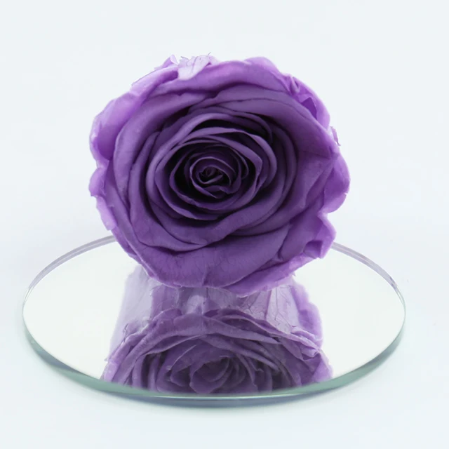 every love preserved rose grade b 5-6 cm black blue pink real touch rose eternal forever flower head bud in a box