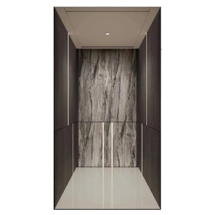 Home Elevator Lift Hydraulic Residential Lift Small Elevators for Homes Villa