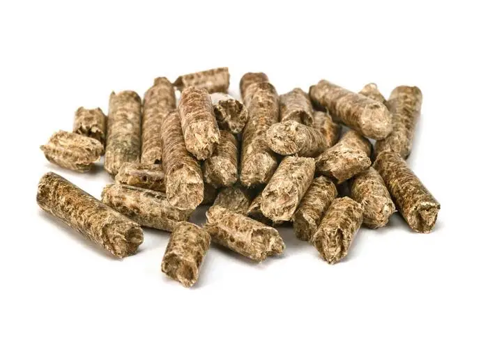 Animal Feed Pelletizer for Livestock Factory Fish Industries Feed Processing Grain-Based Machine from China