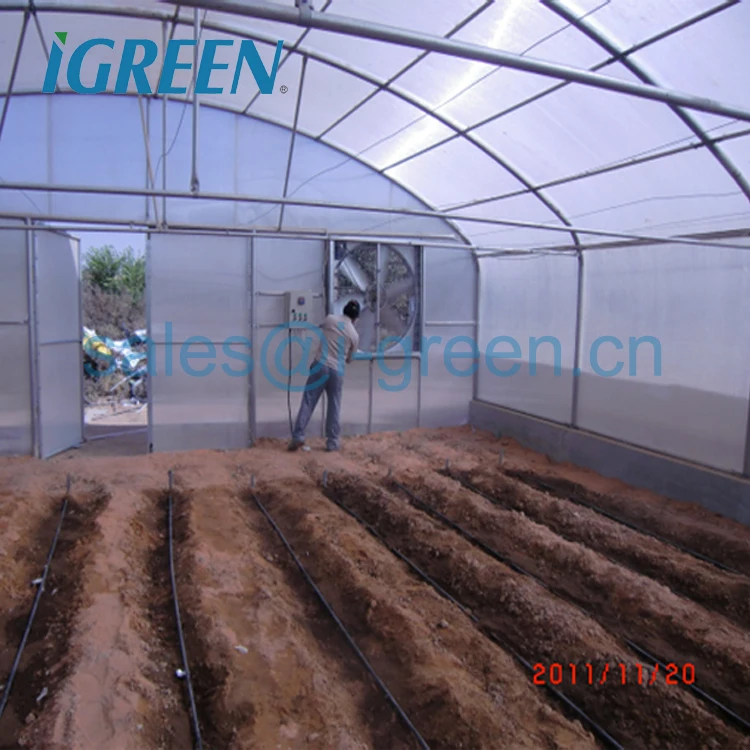 Single tunnel straight wall polycarbonate sheet vegetable greenhouse from China for tractor to go through