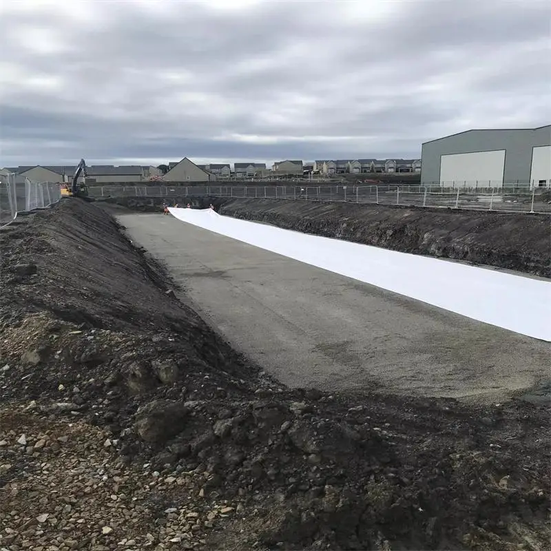 Composite Geomembrane liner for Mining project