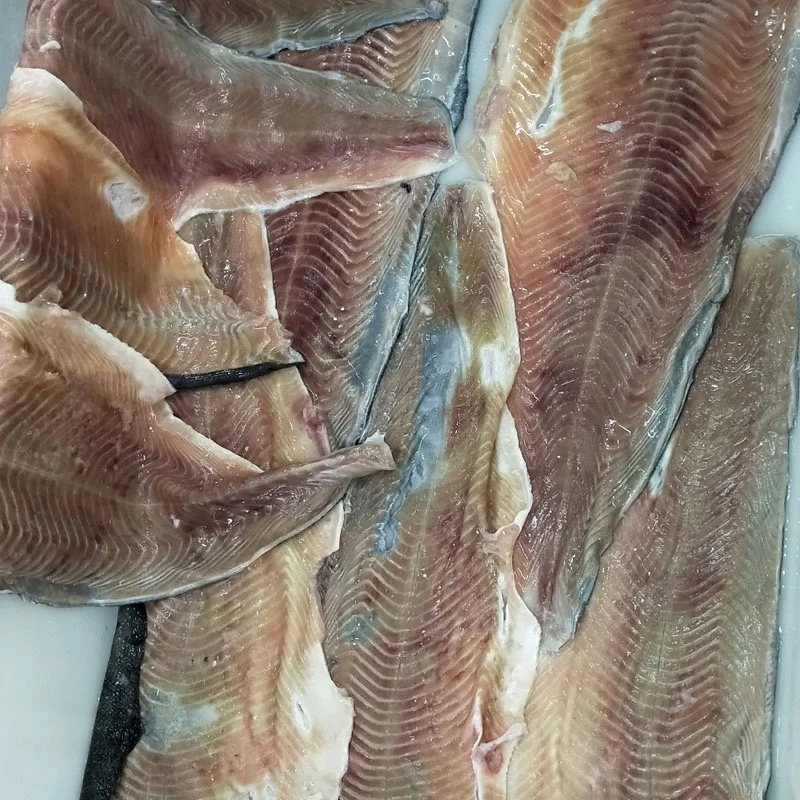 Good Quality Salmon Skin