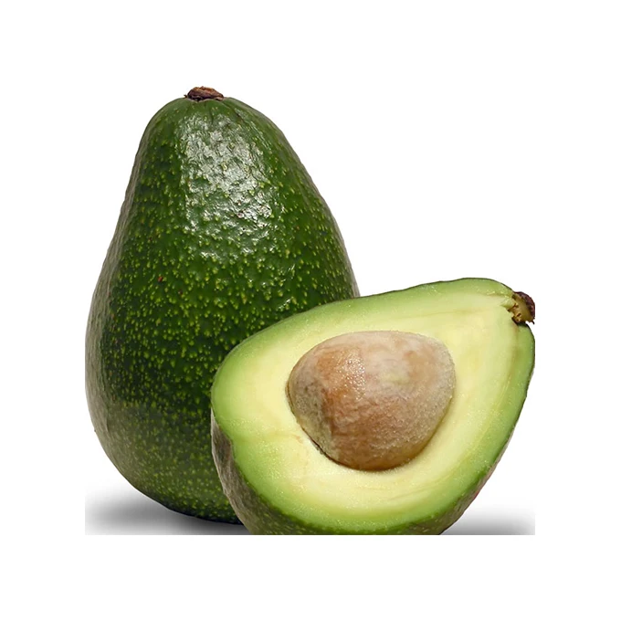 Cheap Price Supplier Fresh Produce Vegetable Fruit Green Avocados