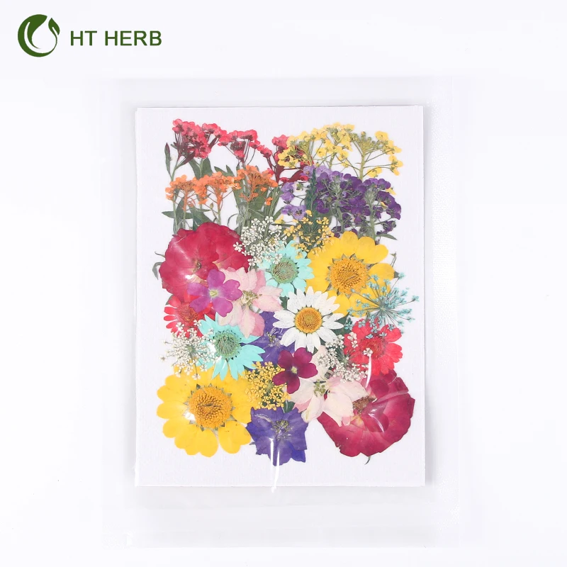 Hot Selling Dried Flowers Resin Jewelry Dry Flowers Plants Dried Pressed Flowers Natural for Resin Candle Material